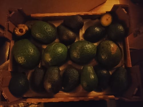 Kunde zeigt die geöffnete Retterbox, die mit zahlreichen grünen und dunklen Avocados gefüllt ist.