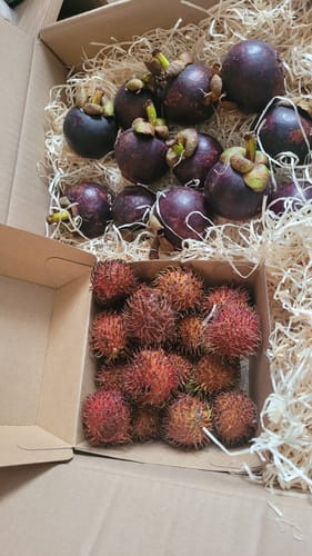 Kunde zeigt die frisch gelieferten Mangostan in der geöffneten Box mit Füllmaterial.