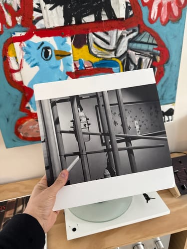 Customer photo review of Leilehua Lanzilotti - beyond the accident of time