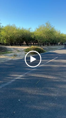 Customer video review of MEEPO V5