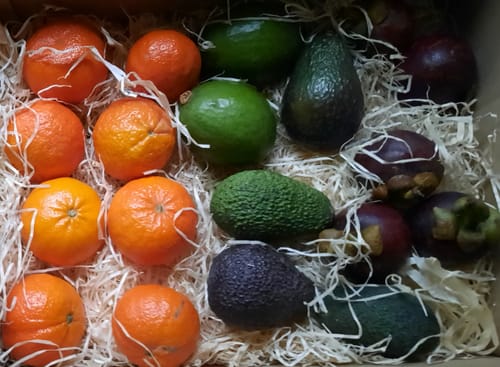 Kunde zeigt die bestellten Mangostanfrüchte und anderes Obst in einer gepolsterten Kiste.