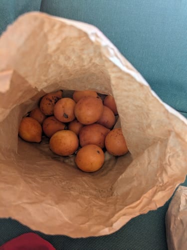 Kunde zeigt mehrere orangefarbene Achachairu-Früchte in einer braunen Papiertüte auf einer Couch.