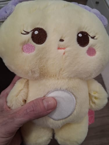 Customer photo review of Shipping Protection