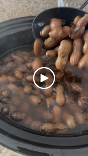 Customer video review of Boil-The-Bag Boiled Peanuts (2 Bags)