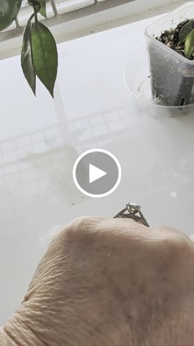 Customer video review of Doveggs round solitaire moissanite engagement ring