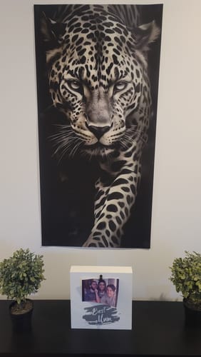 Customer photo review of THE PREDATOR