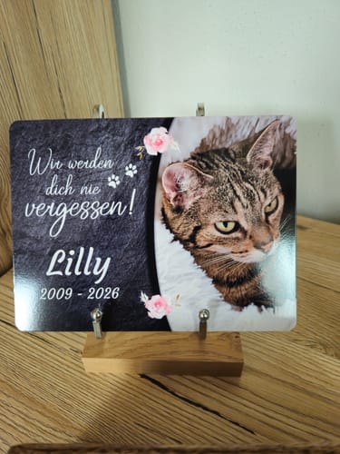 Customer photo review of Katzen Gedenktafel mit Foto & Spruch (UV- & Wetterfest)