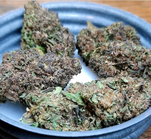 Customer photo review of Candy Gas THCA Flower