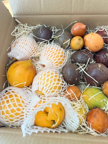 Ein Rezensent zeigt die geöffnete Tropical Obsession Box, gefüllt mit verschiedenen exotischen Früchten auf Füllmaterial.
