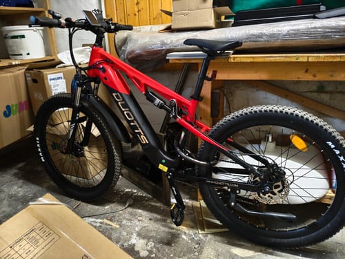 Customer photo review of DUOTTS E29 Electric Bike