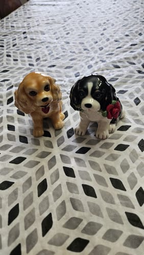 Customer photo review of Cocker Spaniel Salt and Pepper Shakers