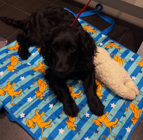 Customer photo review of Disney© Travel Mat - Simba