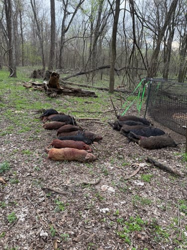 Customer photo review of Anchor Stakes (Replacement Set)