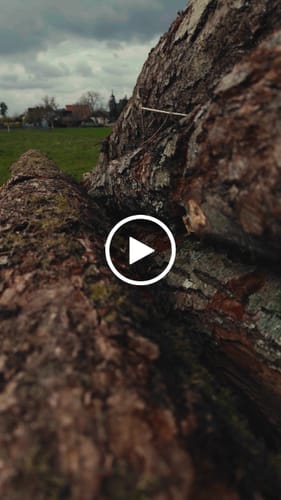 Customer video review of iPhone Apple Log LUTs