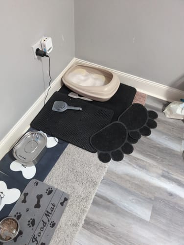 Customer photo review of 1 Month Supply – 2 Cat