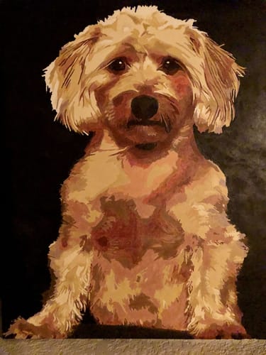Customer photo review of Custom Paint By Numbers - Personalized Pet Portraits