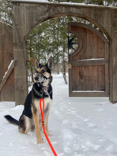 Customer photo review of Lead-All Pro