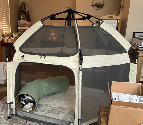 Customer photo review of Pop 'N Go® Playpen