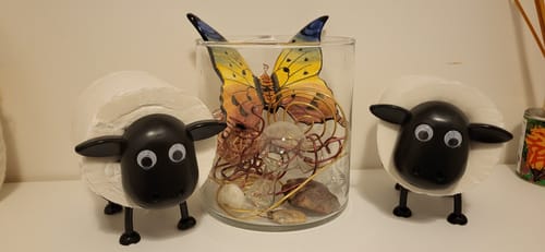 Customer photo review of Mon petit mouton®