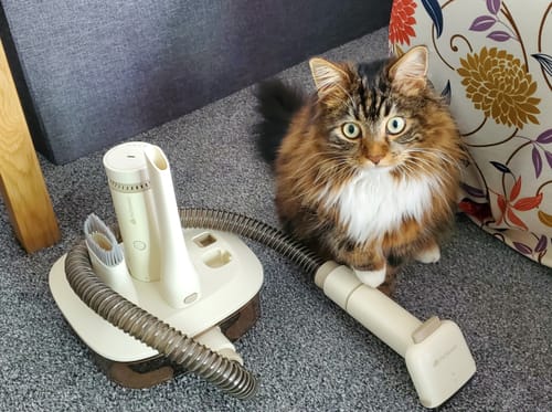 Customer photo review of Wireless Vacuum For Pet