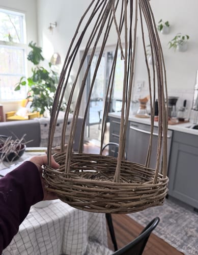 Customer photo review of The Willow Bird Feeder Course and Kit