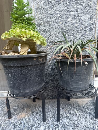 Customer photo review of UnitedCrafts Trivia Metal Pot Stand High Quality & Unique Design