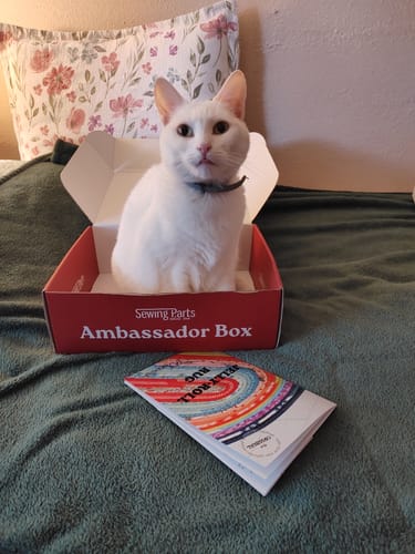 Customer's white cat sitting in the red Uniquely Mateo Ambassador Box with the Jelly-Roll Rug pattern booklet displayed in front.