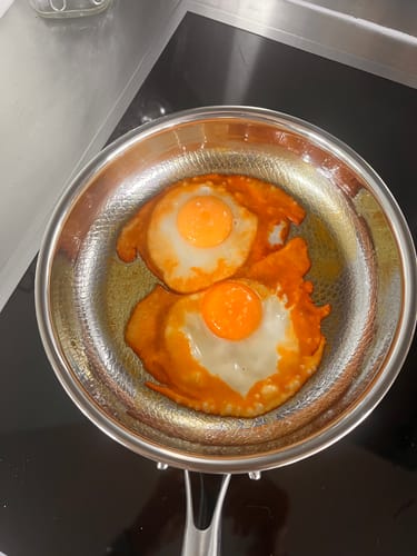Customer photo review of Mastering Titanium Cookware eBook