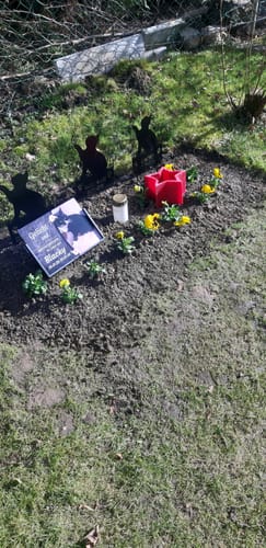 Customer photo review of Katzen Gedenktafel mit Foto & Spruch (UV- & Wetterfest)