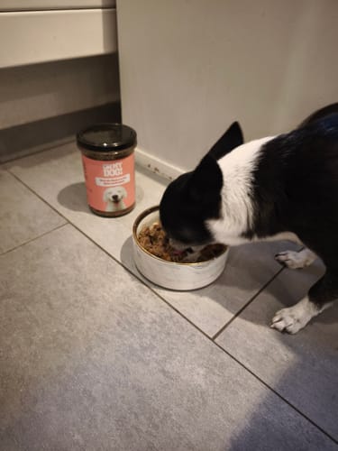 Customer photo review of OH MY DOG! Rind