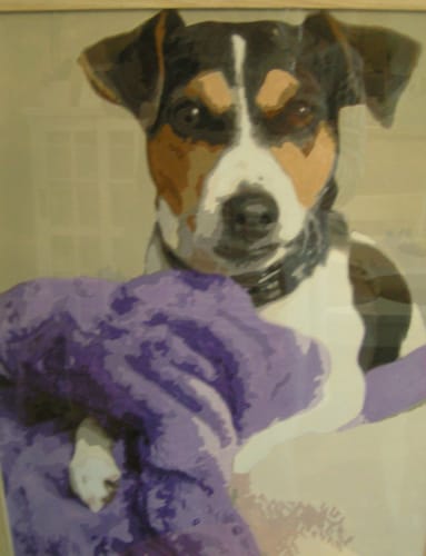 Customer photo review of Custom Paint By Numbers - Personalized Pet Portraits