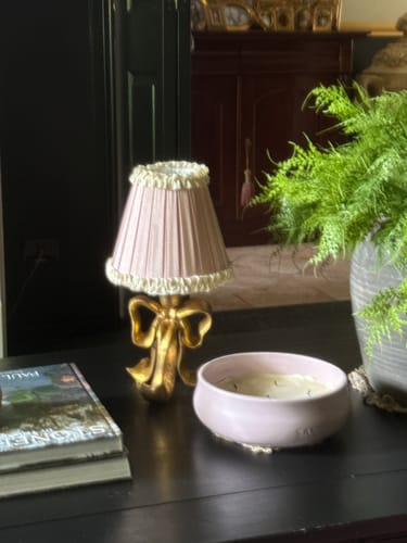 Customer photo review of Audrey Dusty Rose and Cream Lamp Shade & Beau Base - Table Lamp