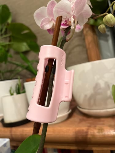 A customer's pink cloud clip holding an orchid stem in place, with a pink orchid in the background.