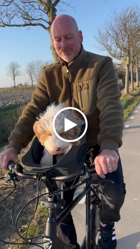 Customer video review of Kvisp Dog Bike Carrier