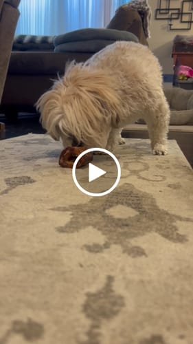 Customer video review of Smoked Beef Marrow Bone