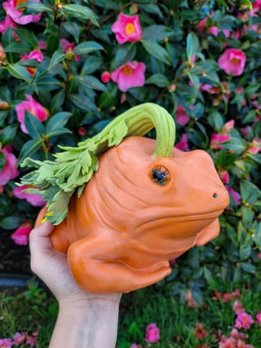 Customer photo review of Carlito the Carrot Toad