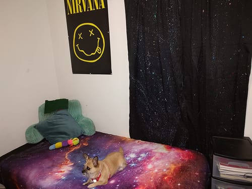 Customer photo review of RockDepth Studio™ 3D art alive on your wall
