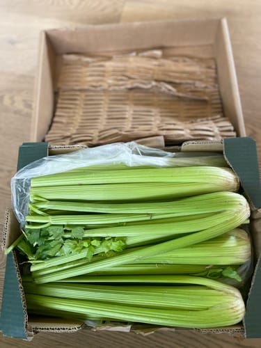 Ein Kunde zeigt den knackfrischen Bio-Stangensellerie in der geöffneten Versandbox.