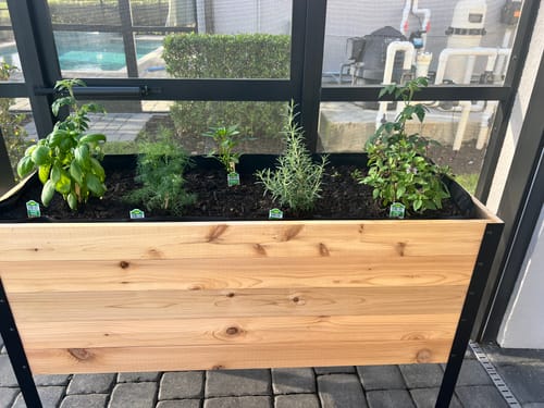Customer photo review of 18" x 48" Raised Garden Bed - 30" TALL / Select Grade