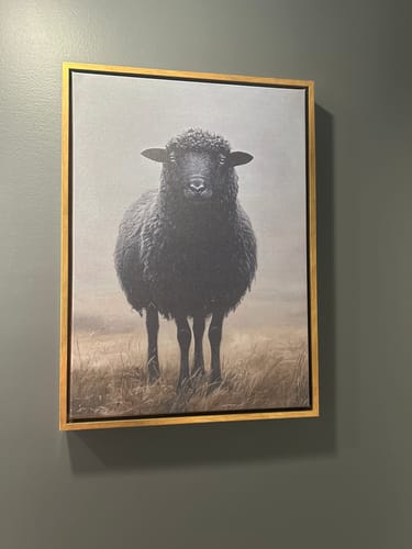 Customer photo review of Black Sheep Print