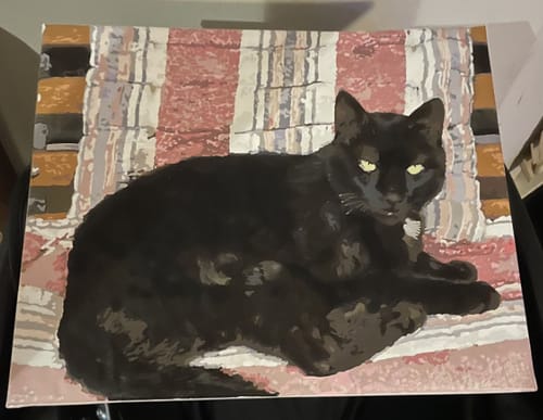 Customer photo review of Custom Paint By Numbers - Personalized Pet Portraits