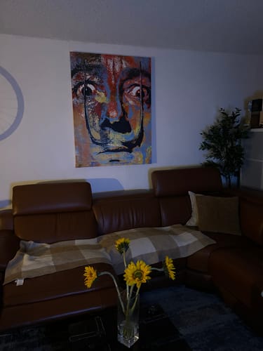 Customer photo review of Salvador Dali