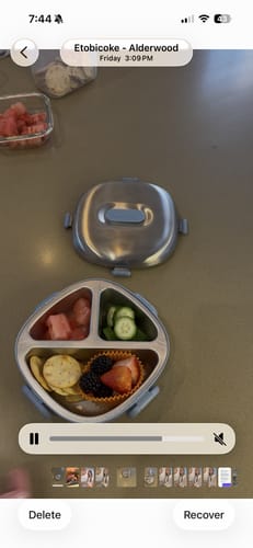 Customer photo review of Bento Box | Pistachio