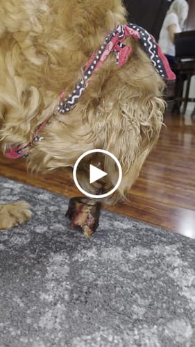 Customer video review of Smoked Beef Marrow Bone