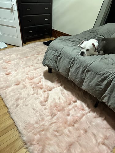 Customer photo review of Luxury Machine Washable Faux Sheepskin Rug - Pet & Stain Proof Shag Carpet | Eco-Friendly for Bedroom, Nursery, Living Room
