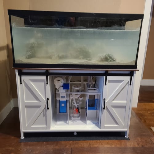 Customer photo review of Fiji Cube Fiji-20 PRO Advanced Reef Sump 2nd Gen