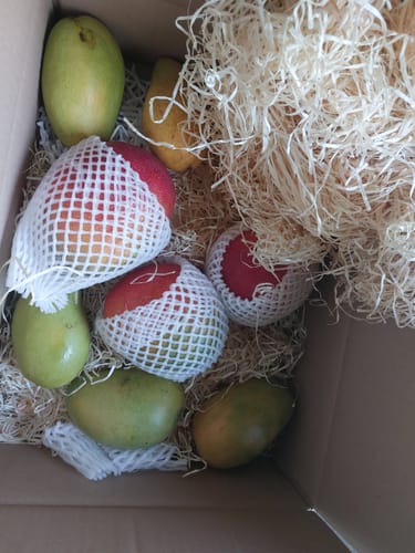 Ein Kunde zeigt die erhaltene Mango Entdeckerbox mit verschiedenen bunten Mangos in einer Versandbox.