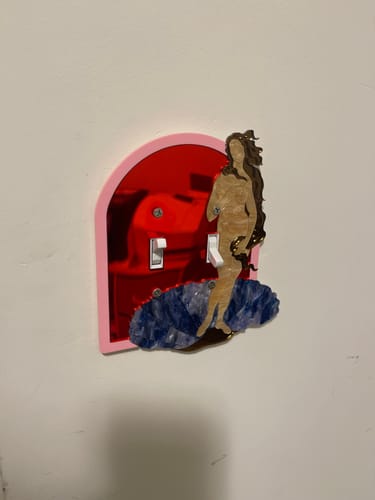 Customer photo review of Birth of Venus Light Switch Cover