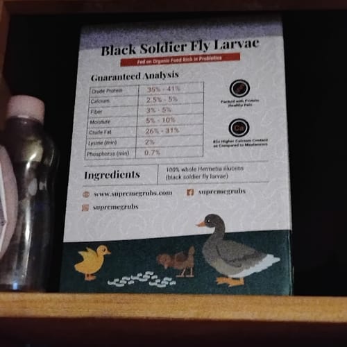 Customer photo review of Supreme Grubs - Black Soldier Fly Larvae