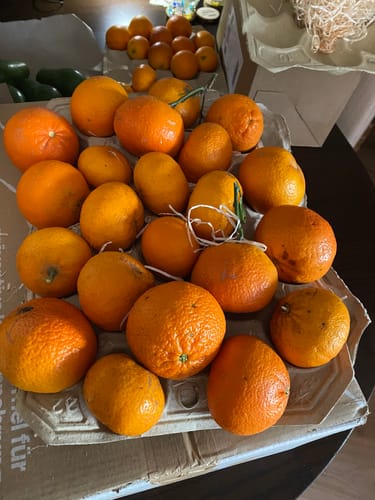 Ein Kunde zeigt den Bio Clementinen Mix. Die frischen Früchte in verschiedenen Größen sind auf Pappschalen angeordnet.
